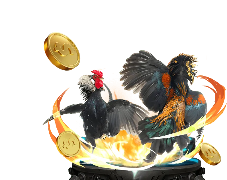 Giới thiệu về đá gà C2